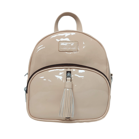 CRAFTSMAN BACKPACK BAG